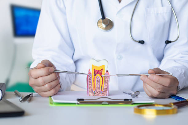 Best Emergency Dental Surgery in Connerton, FL
